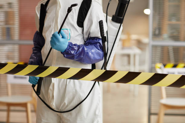 Professional Sewage Cleanup technician working in Scottsmoor, FL
