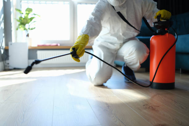Reliable Sewage Cleanup contractor in Scottsmoor, FL by Trauma Clean Pros